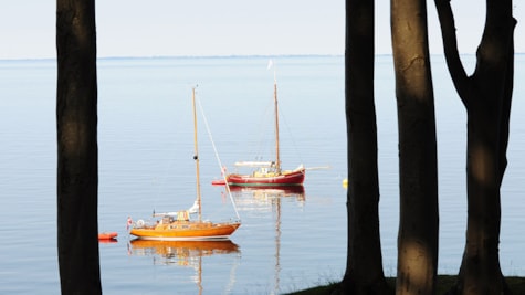 To sejlbåde i vandet ud for de høje træer på Æbelø