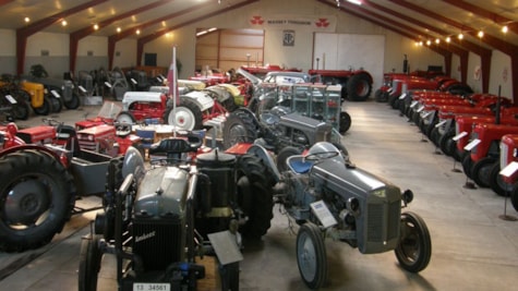 En lade fyldt med Ferguson traktorer på Danmarks Ferguson Museum