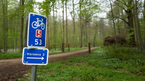 Skilt for National Cykelrute 5 53 i Boller Nederskov i Horsens