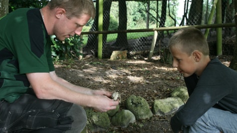 Dyrepasser fortæller til barn i Glad Zoo