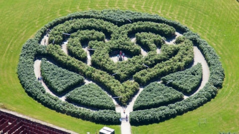 Labyrinthia - luftfoto - labyrint / busk-træ