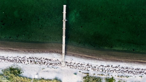 Drone billede af Kirkholm strand