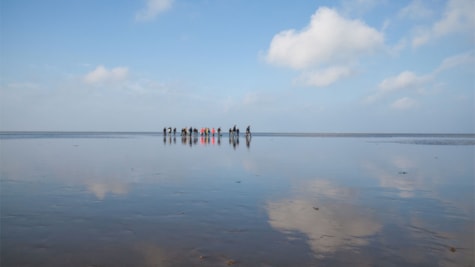 Vadehavstur | Meet & More by the Wadden Sea