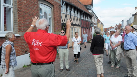 One of Ribe's guides