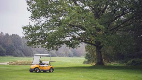 En gul Golfbil er parkeret ved et stort træ i Horsens Golfklub