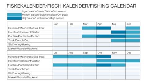 Fiskekalender Hagenør (Børup Skov)