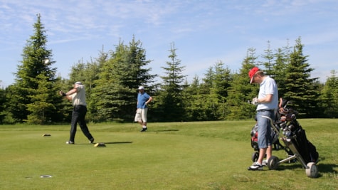 tre mænd spiller golf på golfbanen med Langesøskoven i baggrunden