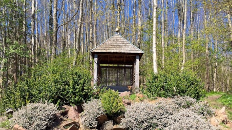 Pavilion står placeret i en skov
